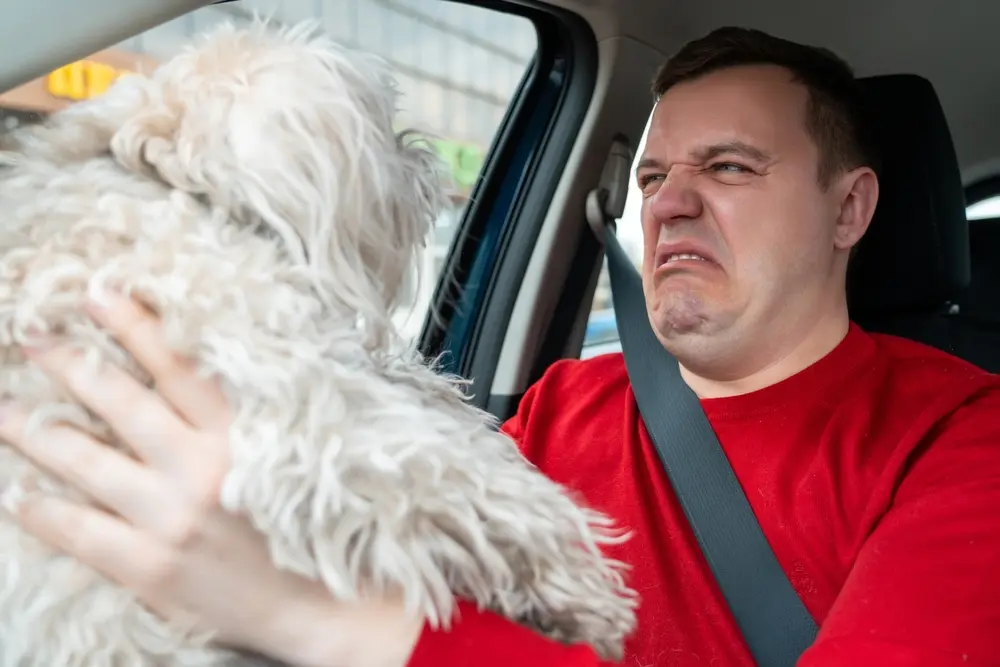 How to Tell If Your Dog’s Bad Breath Is Normal or a Warning Signal