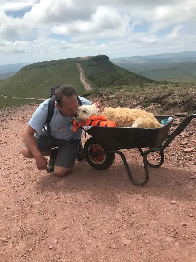 Dog Dad Carries Dying Labradoodle Up Mountain For Final Hike