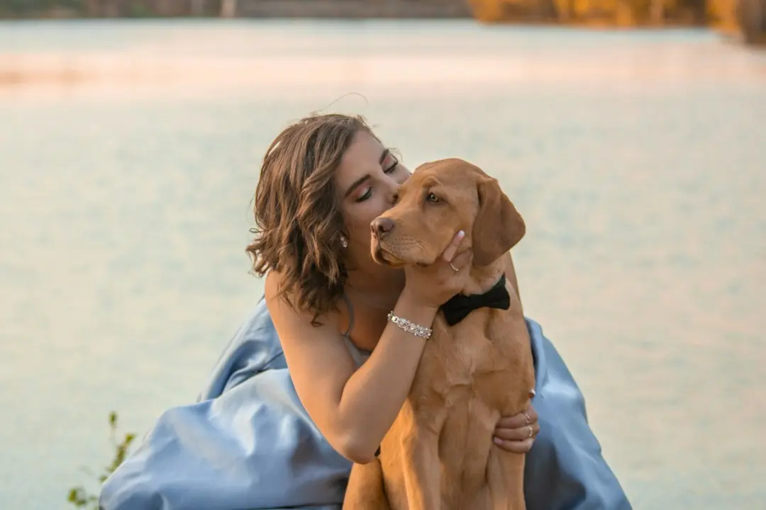 Dog in Bow Tie Steals the Show at Wedding Rehearsal