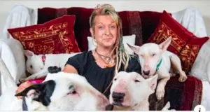 Dog Rescuer Chooses Rescue Over Marriage