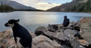 Frightened Dog Survives Days Alone in Snowy Colorado Wilderness