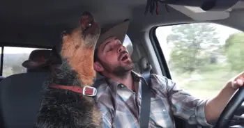 A Music-Loving Canine Finds Her Favorite Country Tune
