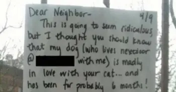 Dog’s Window Grief Leads To Neighborly Note