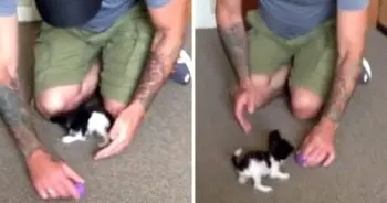 Father Vowed To Protect Tiny Puppy Defying Medical Odds