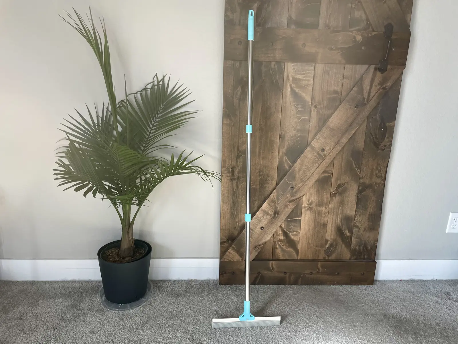Fido Fave Dual-Sided Pet Hair Removal Carpet Rake Review 2026: Does It Really Work?