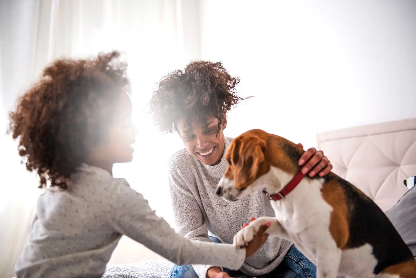 Five Essential Questions Before Adopting a Dog