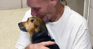 A Devoted Pet Owner Finds Hope After Tragedy Strikes in Florida