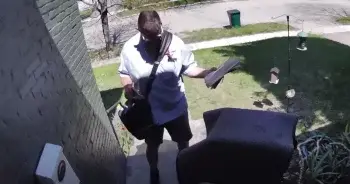 Gentle Giant Wins Over Local Mail Carrier