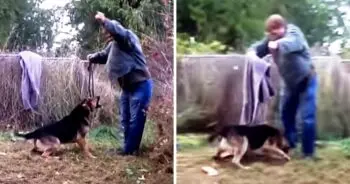 Living Chained Outside For Years