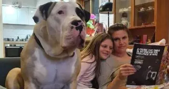 Giant Canine Breaks Internet With Staggering Family Photos