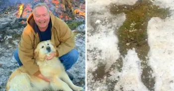 Golden Retriever Saves Owner After 20‑Hour Wilderness Struggle