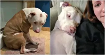 Hero Finds Comfort in Simple Routines After Rescue Journey