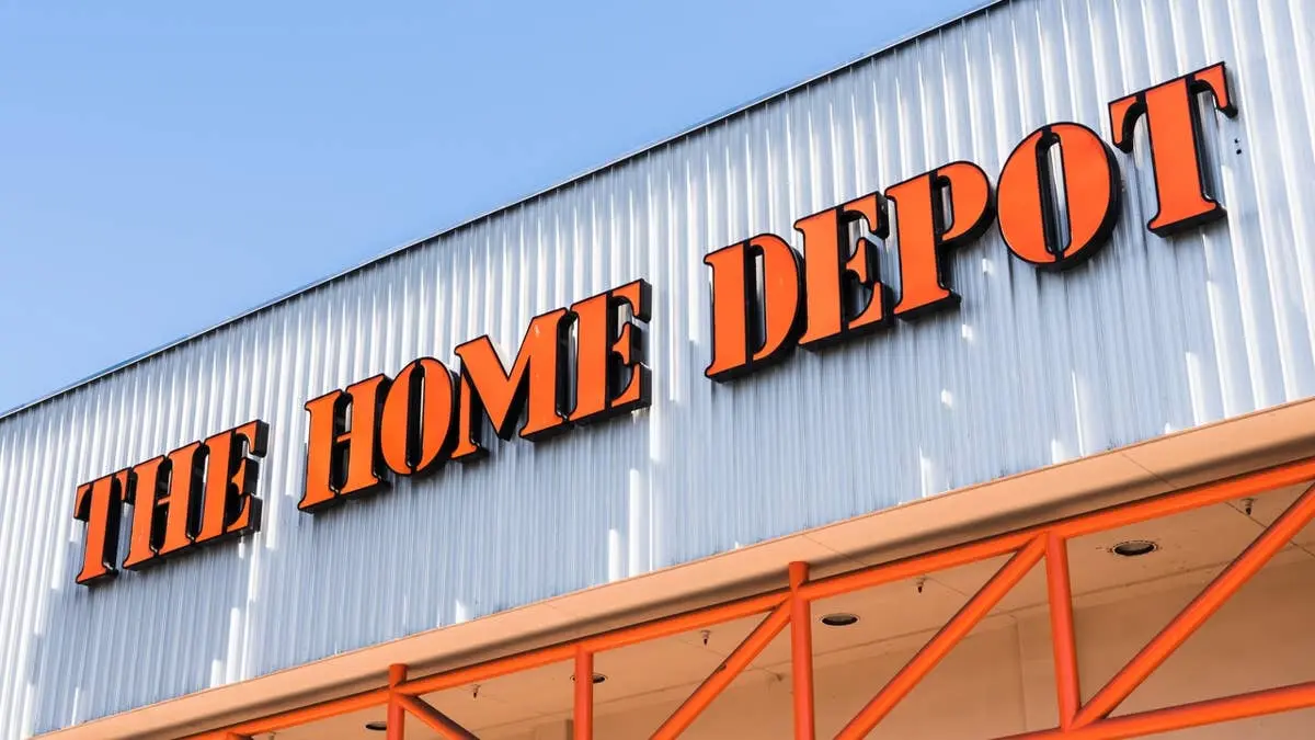 Home Depot Unveils Cat Tree Designed for Senior Felines
