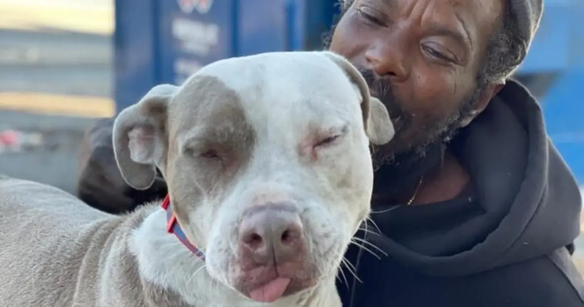 Homeless Hero Risks Everything to Rescue Animals from Blazing Shelter