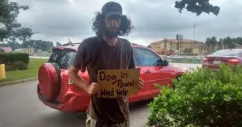 Homeless Man’s Plea Outside Walmart Leads Stranger to Save His Dog