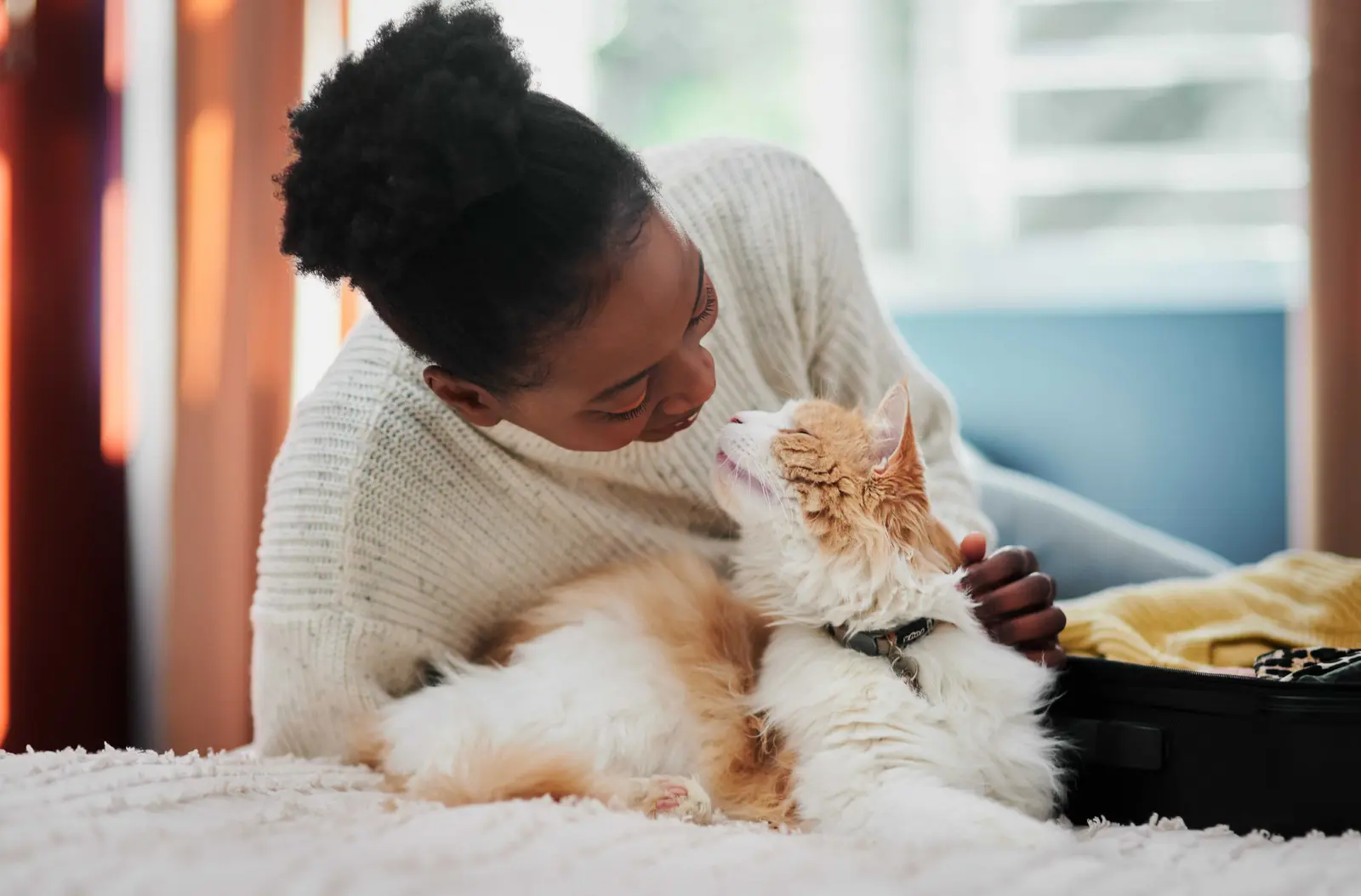 How to Choose a Cat: Four Essential Questions Before Adoption