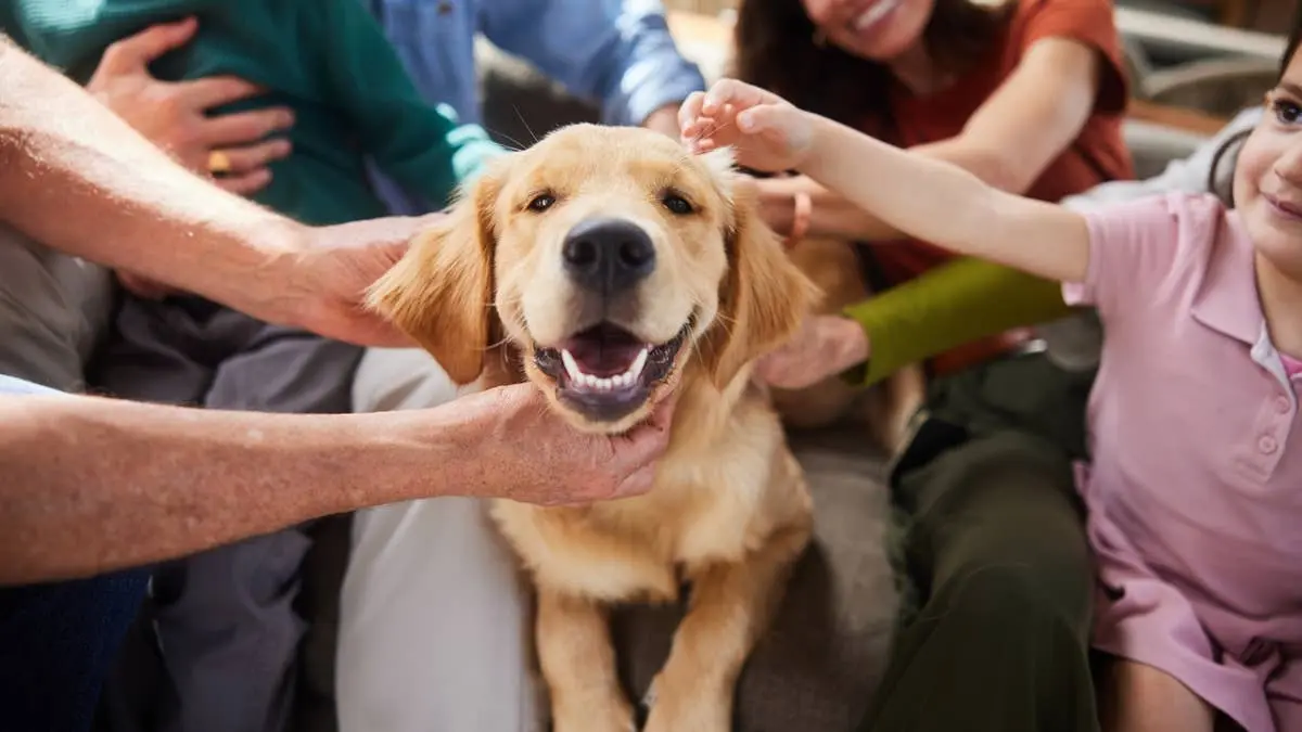How to Choose the Right Dog for Your Family