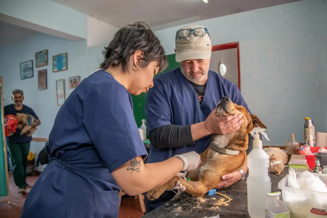 Essential Guide to Choosing and Using Muzzles for Veterinary and Grooming Visits