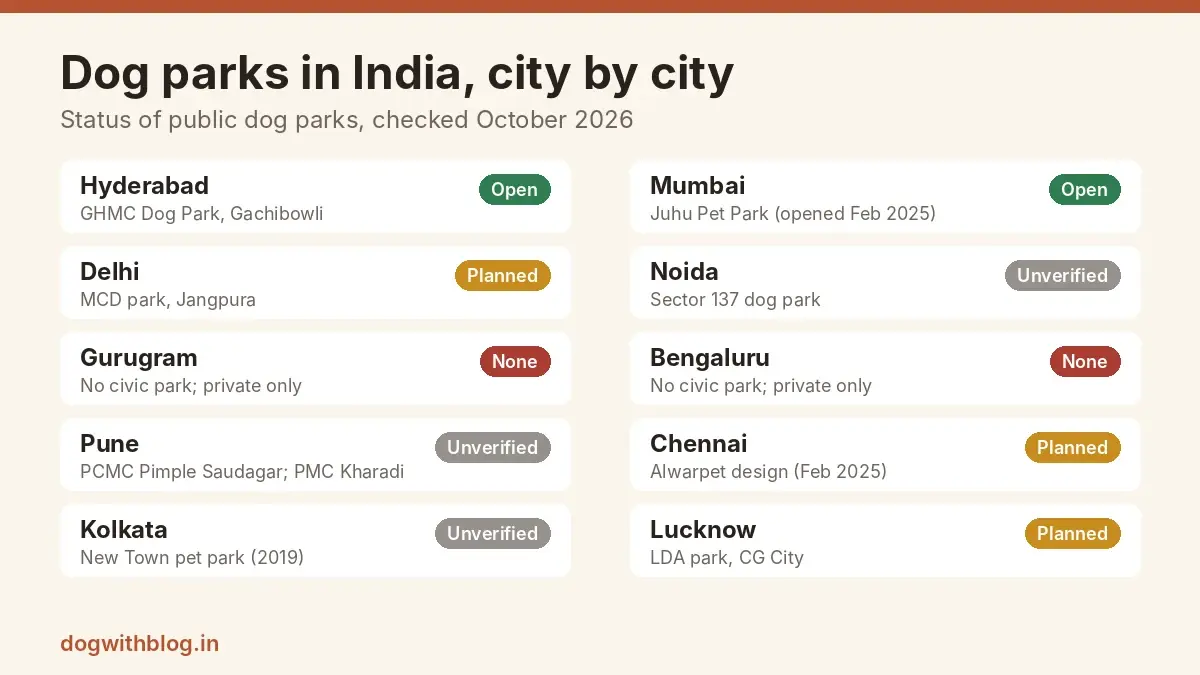 Dog Parks in India: The Lone Public Haven in Hyderabad