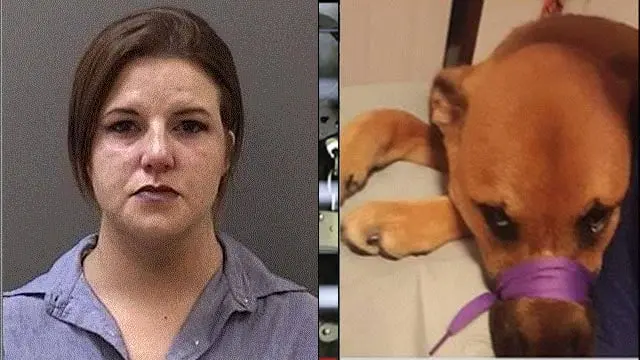 Woman Faces Consequences After Troubling Dog Photo Appears on Facebook