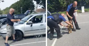 Lifeless Dog Rescued From Sweltering Car By Man With Axe