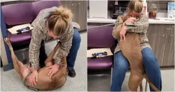 Lost Georgia Dog Reunites With Family After Years Apart