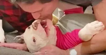 A Loving Dad Turns an Ignored Dog into an Affection Addict