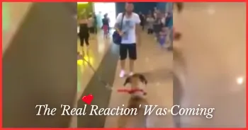 Loyal Canine Freezes In Airport Before Unleashing Joyous Reunion