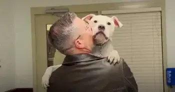 Man Adopts Deaf Puppy, Finds Unexpected Bond That Shifts His Perspective