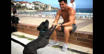 Man Adopts „Talking Dog” After Two Weeks of Care
