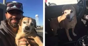 Man Drives 1,000 Miles To Reunite Terminally Ill Woman With Her Dog