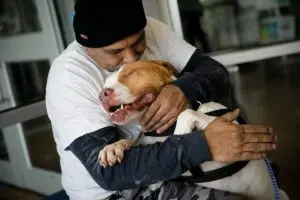 Man Keeps Promise By Re-Adopting The Dog He Was Forced To Surrender 4 Months Ago