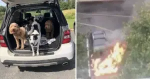 Massachussets Man Braves Flames to Rescue Trapped Pets