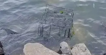 Morning Walk Leads to Dramatic Rescue in New Jersey