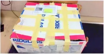 Mysterious Box Delivered to Animal Shelter Sparks Horrific Discovery
