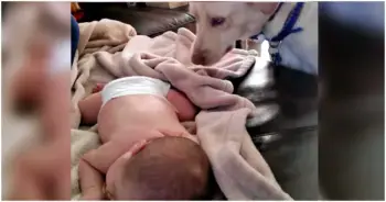 New Mom’s First Baby Introduction Leads Dog to Point Out Rookie Parenting Slip