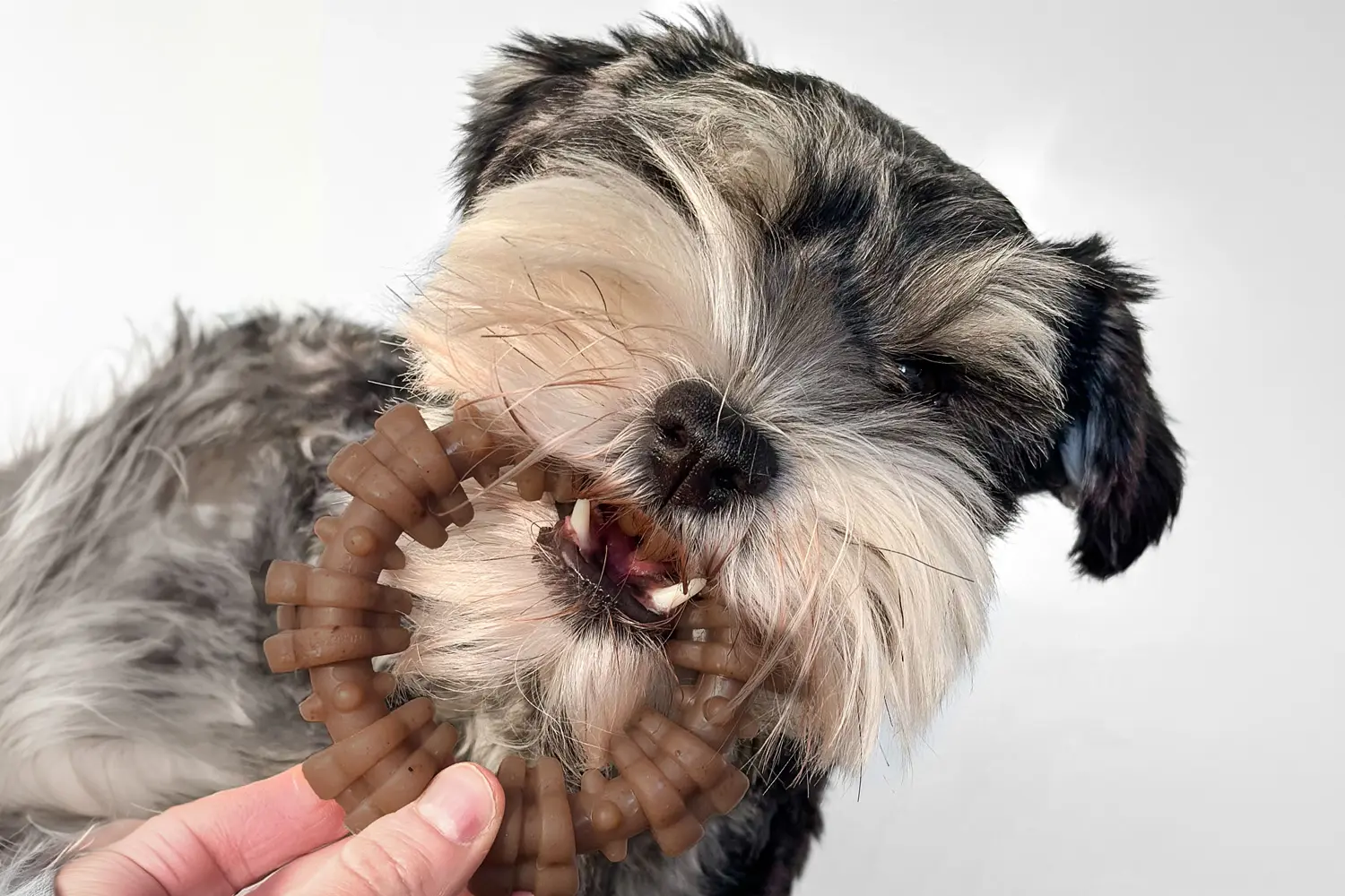 Nylabone Launches New Real Meat Chew Toys for Dogs