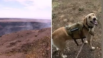 Police Dog Leads Search and Finds Missing 70‑Year‑Old Hiker in Hawaii Volcanoes National Park