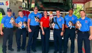 Pregnant Stray Dog Gives Birth At Fire Station, Finds Forever Home