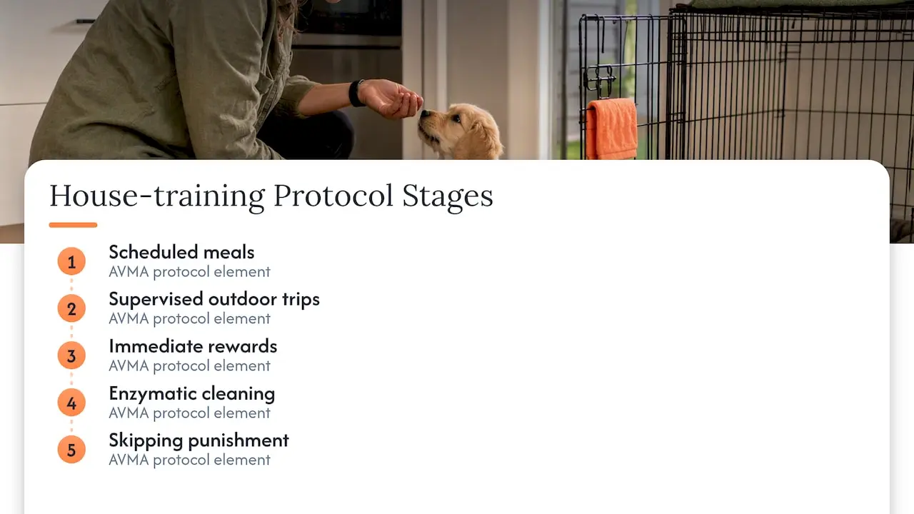 Puppy Crate Accidents: A Quick 5‑Minute Response Guide