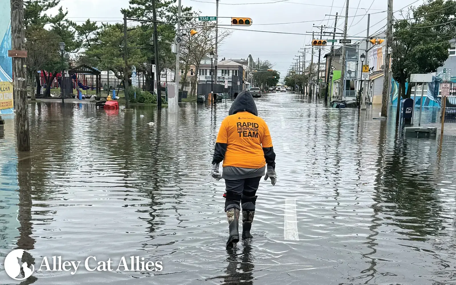 Rapid Response to Flooded Streets: Cats and Kittens in Atlantic County