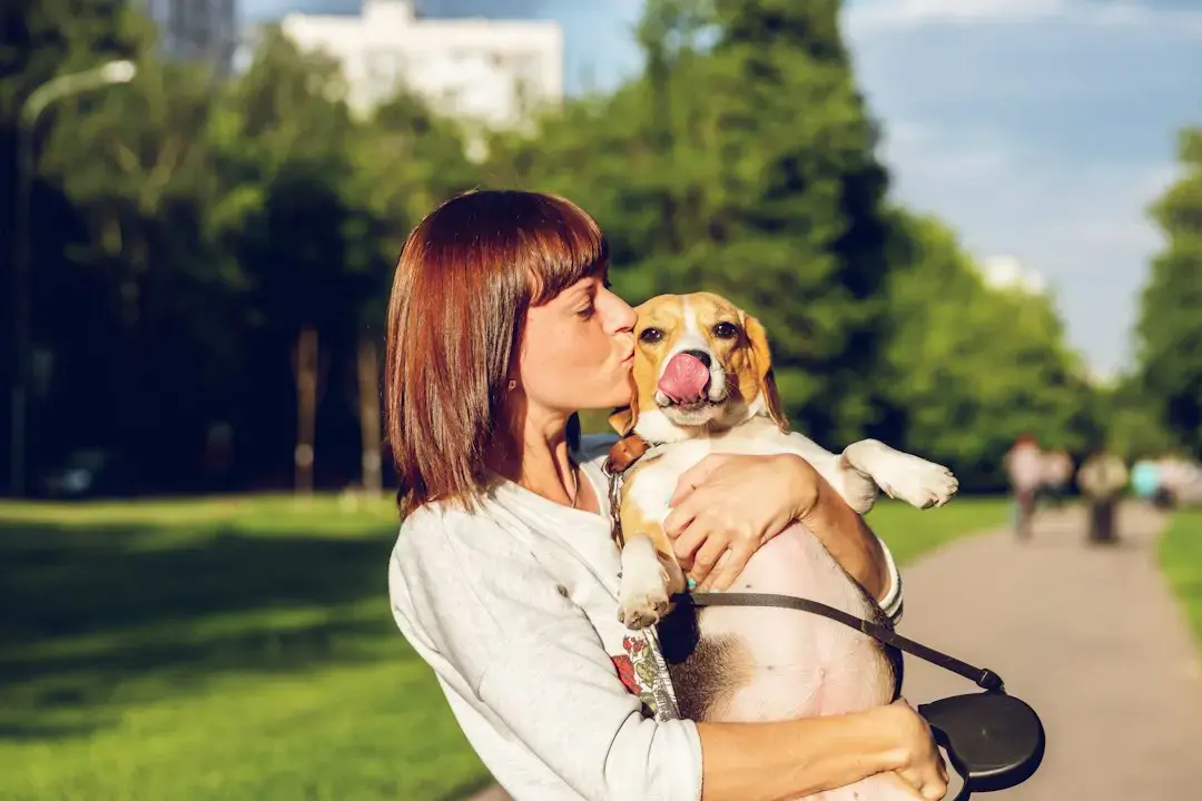Rescue Dog Bruno Recovers Rapidly After Roadside Rescue