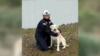 Rescue Dog Canyon Wins National Award for His Heroic Work