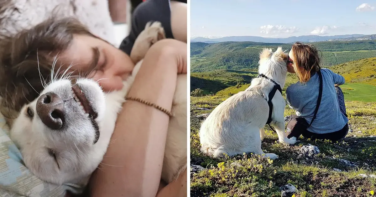 Rescue Dog Finds Peace After Long Journey to Unconditional Love