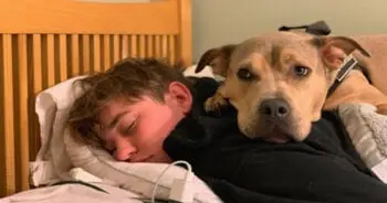 A Traumatized Rescue Dog Finds Courage Through Sibling Bond