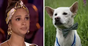 Rescue Dog on Britain’s Got Talent Moves Judges to Tears