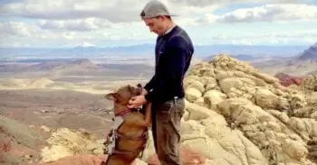 Revealing a Dog’s Hidden Passion After Six Months of Care