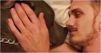 A Rescued Pit Bull Finds Safety After Years of Cruelty