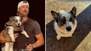 Riley Green’s Furry Co‑Star Carl Steals the Spotlight