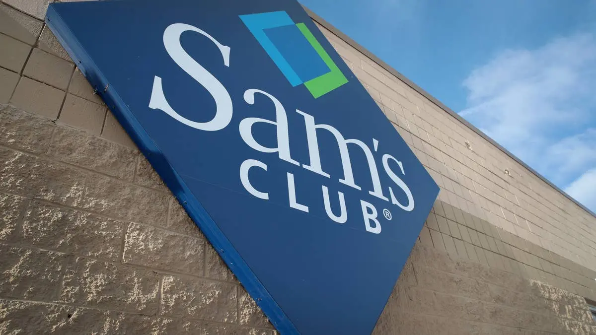 Sam’s Club Unveils Collapsible Cat Condo Under $25